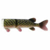 Pike