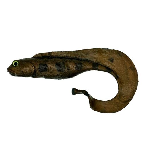 burbot