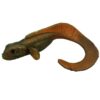 Coppar Burbot