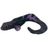 Motoroil Purple Burbot