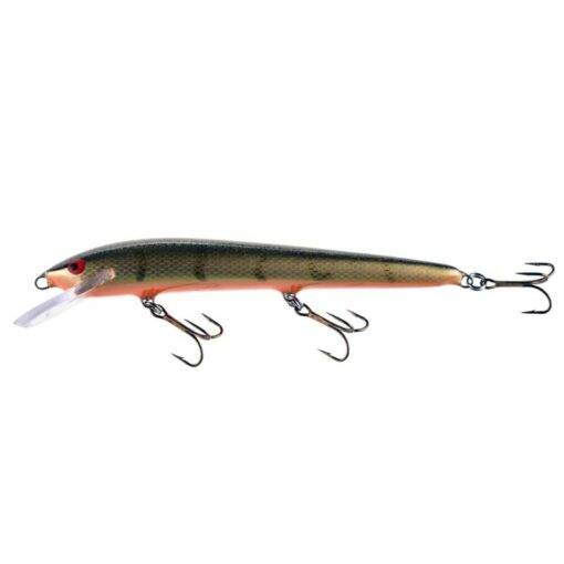 dirty-roach