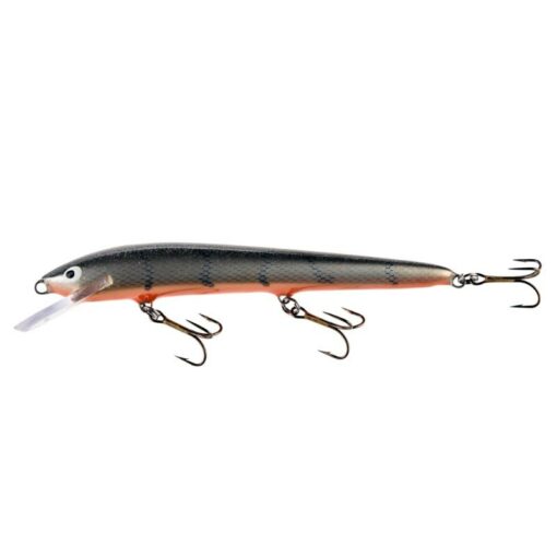 silver-roach
