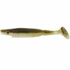 Backwater Shad