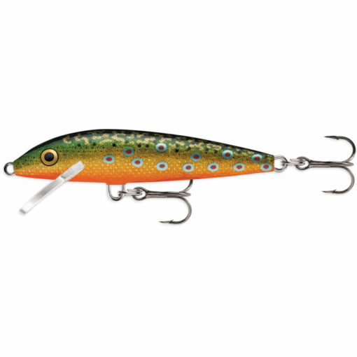 brown-trout