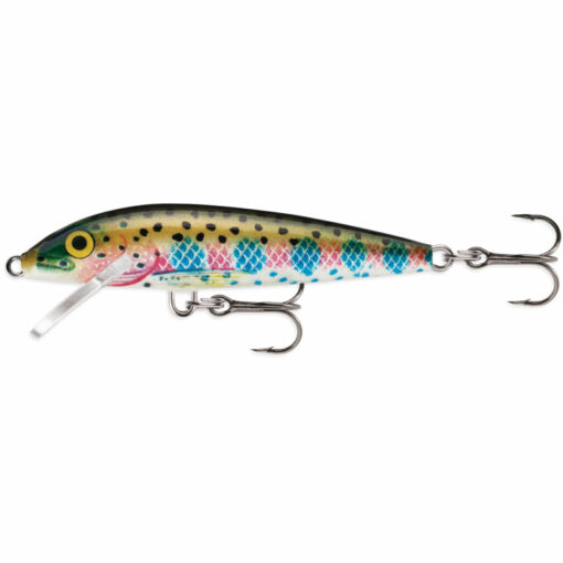 rainbow-trout