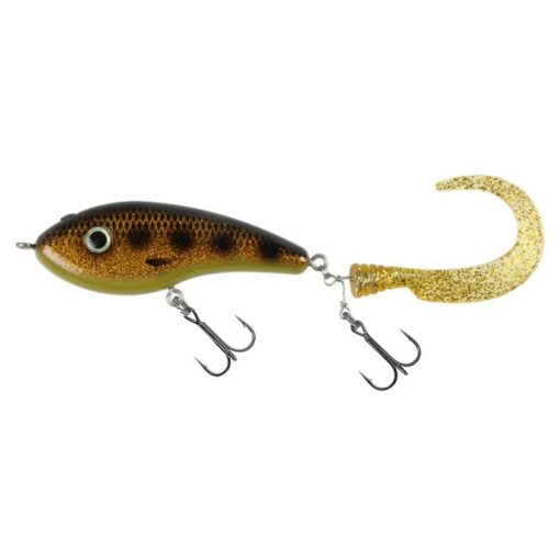 spotted-bullhead
