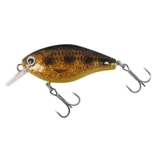 spotted-bullhead