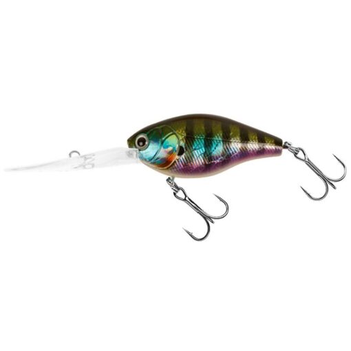 blue-gill