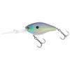 Ghost Shad V2
