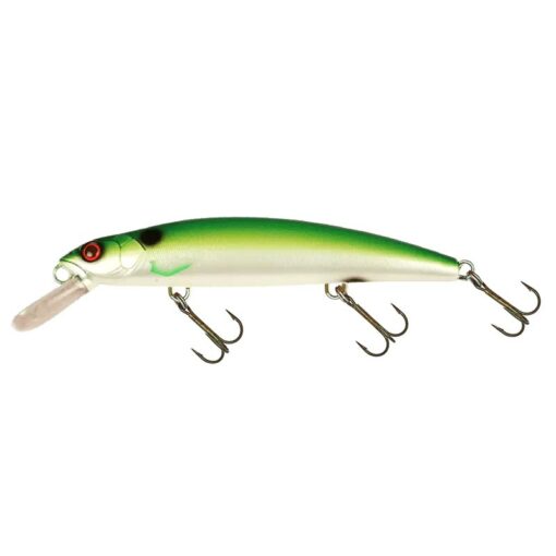 rugen-shad