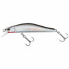 PB Minnow