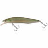 Gizzard Shad