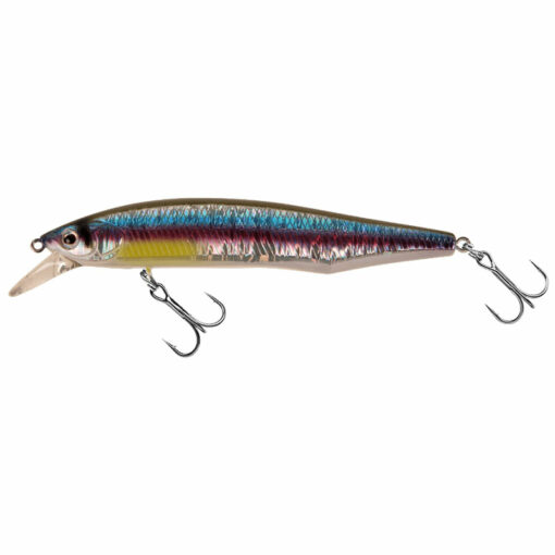 rainbow-shad