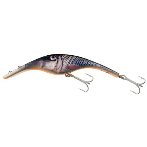 roach